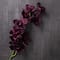 Tropical Cymbidium Spray by Ashland®